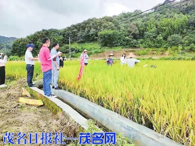 点击放大