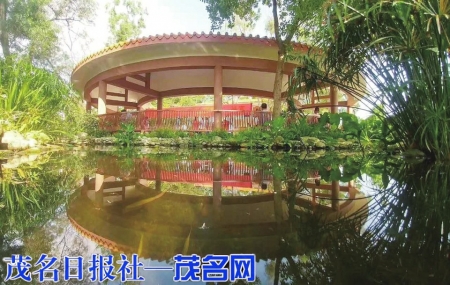 优雅的读书环境<br>