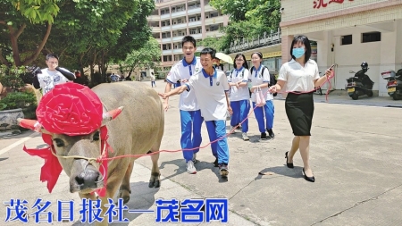 江英进同学取得654分好成绩，家长赠牛答谢学校<br>