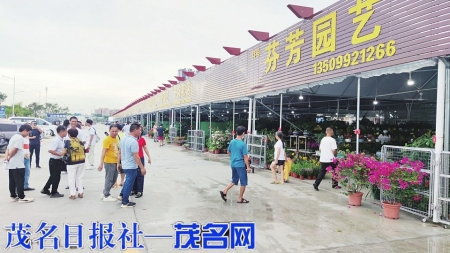 ▲官渡花街已正式营业。 茂名日报社全媒体记者陈国汉刘锋兰摄<br>