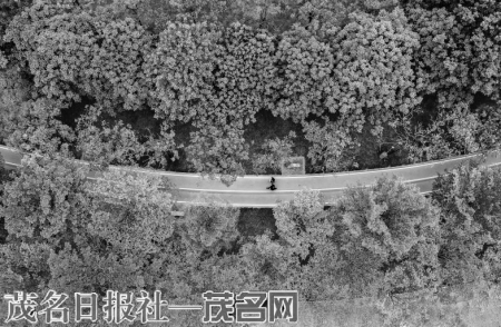 　　穿行于文化广场段的“好心绿道”仿佛是一场春天的旅行。<br>