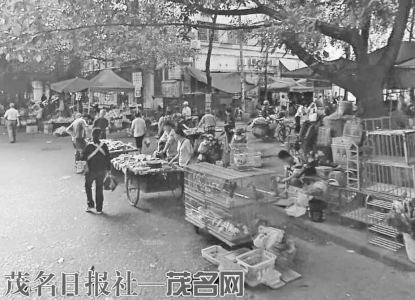 曾经的“马路市场”。<br>