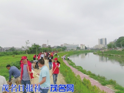 杨梅河两岸开展义务植树活动<br>