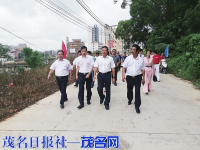 上级领导、杰出乡贤察看“怀德路”通车情况<br>