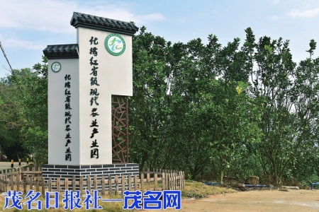 化橘红产业被认定为省级现代农业产业。<br>