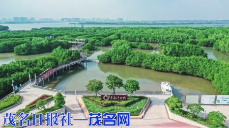 海洋公园成为市民的打卡地。<br>