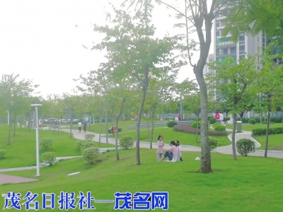 市区公园绿化为市民提供了良好的休闲环境。<br>