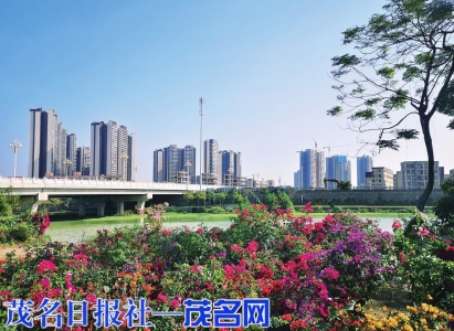 美丽的东湾小区。茂名日报社全媒体记者丘立贺摄<br>