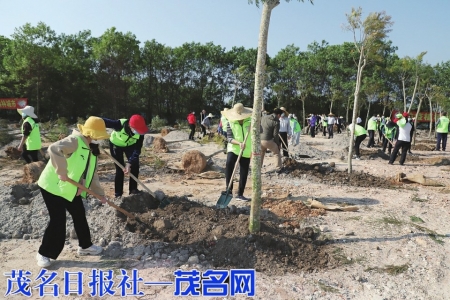 市民积极参加义务植树活动。茂名日报社全媒体记者吴昊摄<br>