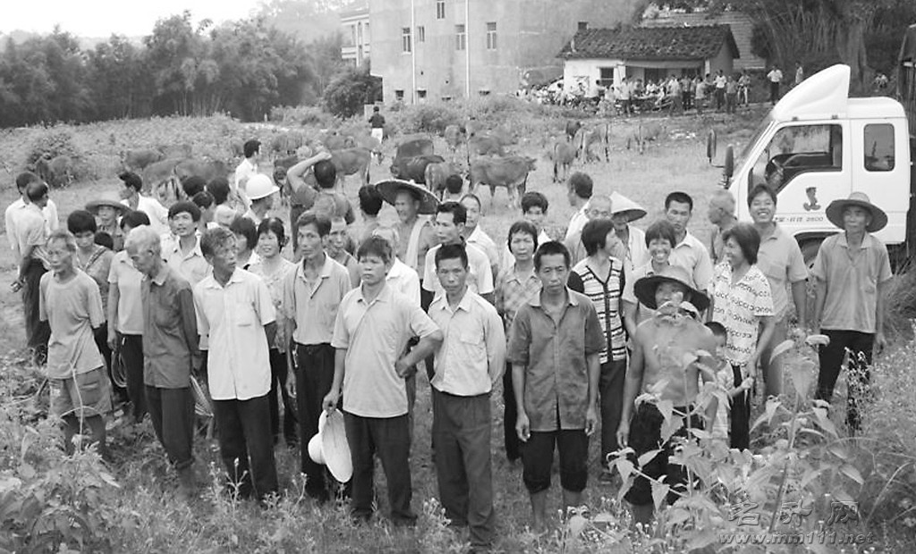 点击放大