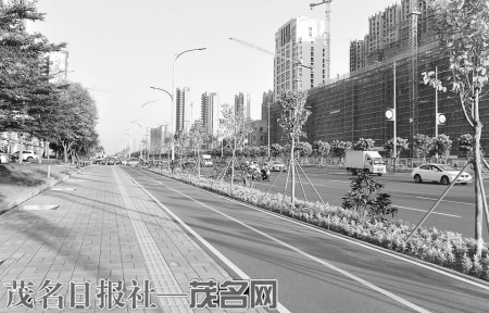 茂南大道的人行道和绿道。<br>