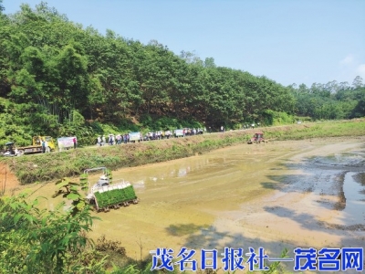 点击放大 撂荒地复耕复种现场。<br>