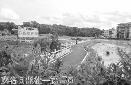 石湾街道博带村一河两岸风景。<br>