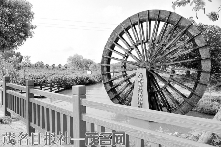 ▲南盛街道湖艳村水车景点。<br>