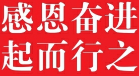 庄悦群到电白开展主题教育“党建引领‘百千万工程’”专题调研
