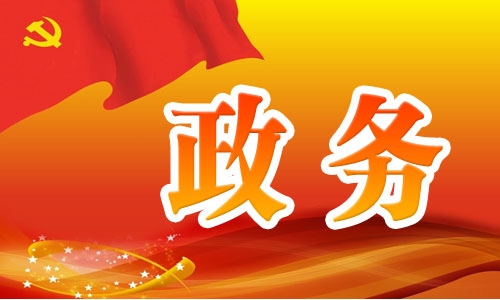坚持长远谋划和及时见效相结合 以高水平规划引领典型镇发展建设