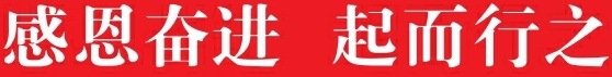 以高质量项目支撑经济社会高质量发展