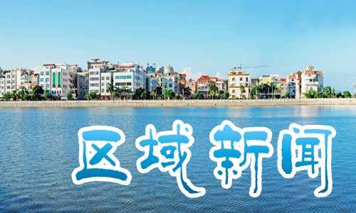 電白區黨員沖鋒在前 織密防風防汛“安全網”