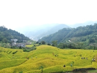 满足“诗和远方”新期待 旅游大国加速迈向旅游强国
