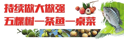 茂名罗非鱼出口保持强劲势头