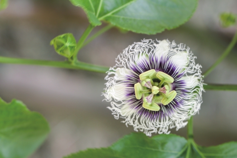 養(yǎng)育輪回中，我尚未及格