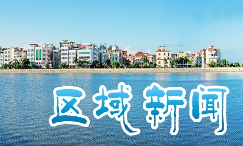 民进茂名市委会到电白开展“完善新能源汽车充电网络”专项民主监督