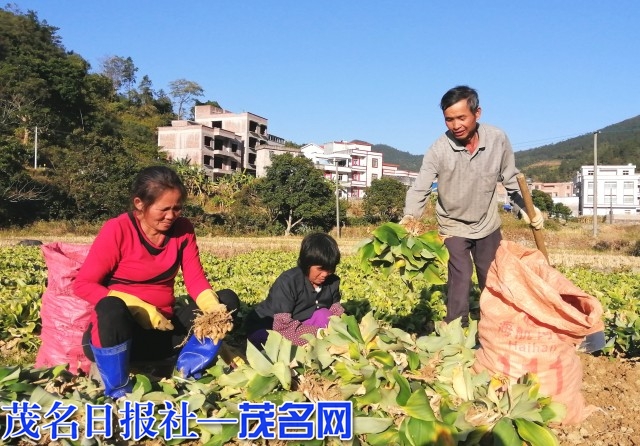 1956839_微信图片_20211205201309.jpg