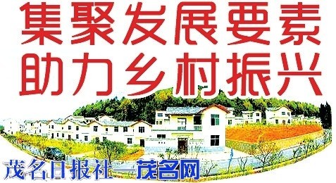 聚焦乡村发展.jpg
