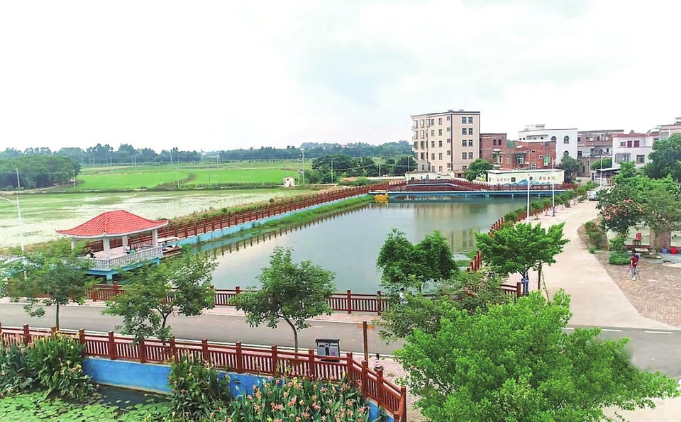 全面乡村振兴的高州密码