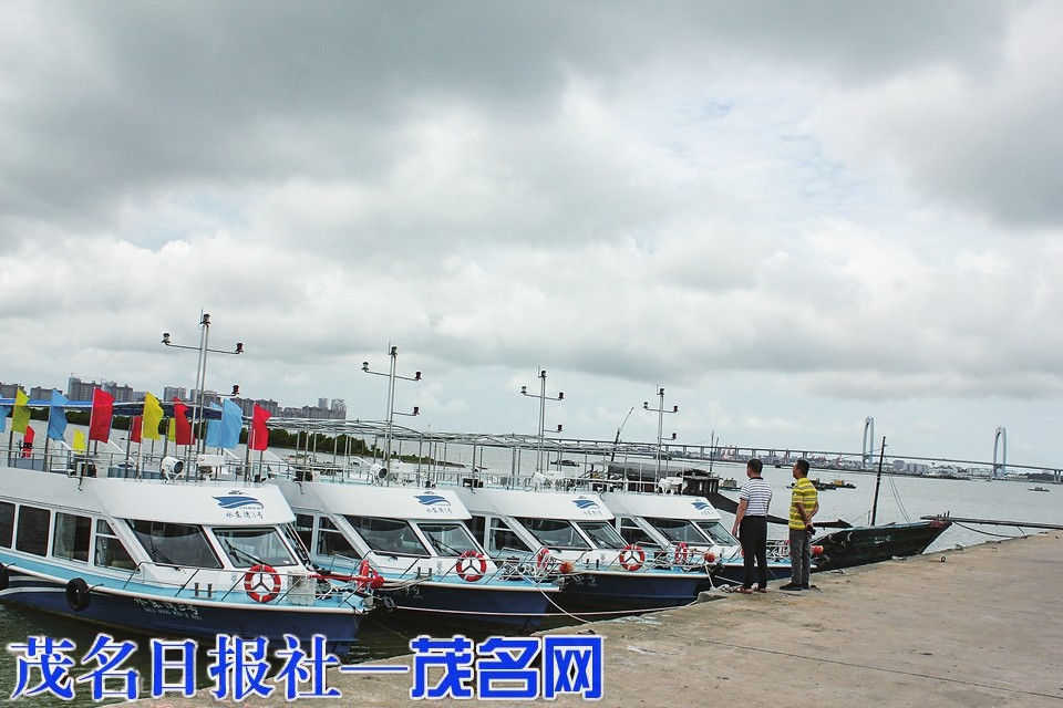 4艘崭新游艇现身陈村码头最快年底游客有望 湾内游