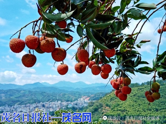 62938d01aff50.jpg
