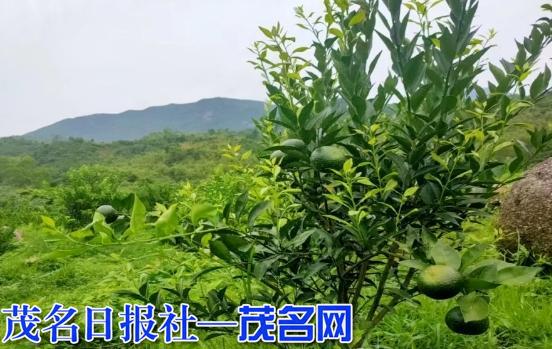 1000054345786432.jpg 3.jpg