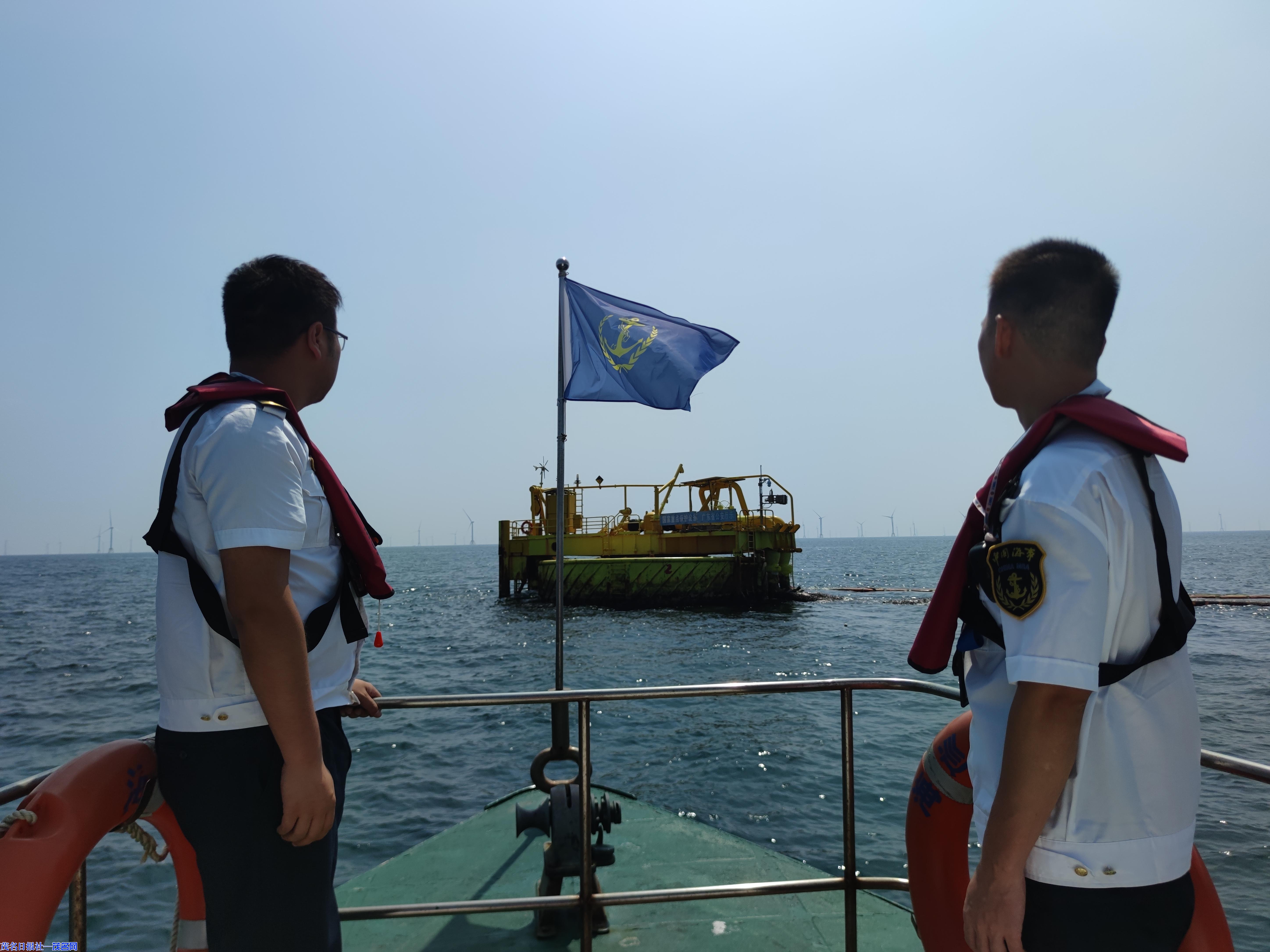 0959164545160117.jpg 4.jpg