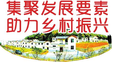 乡村振兴2 (2).jpg