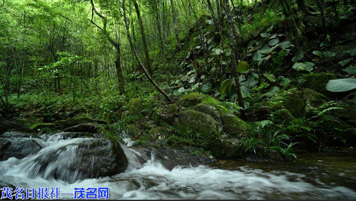 1030282353444098.jpg 9.jpg