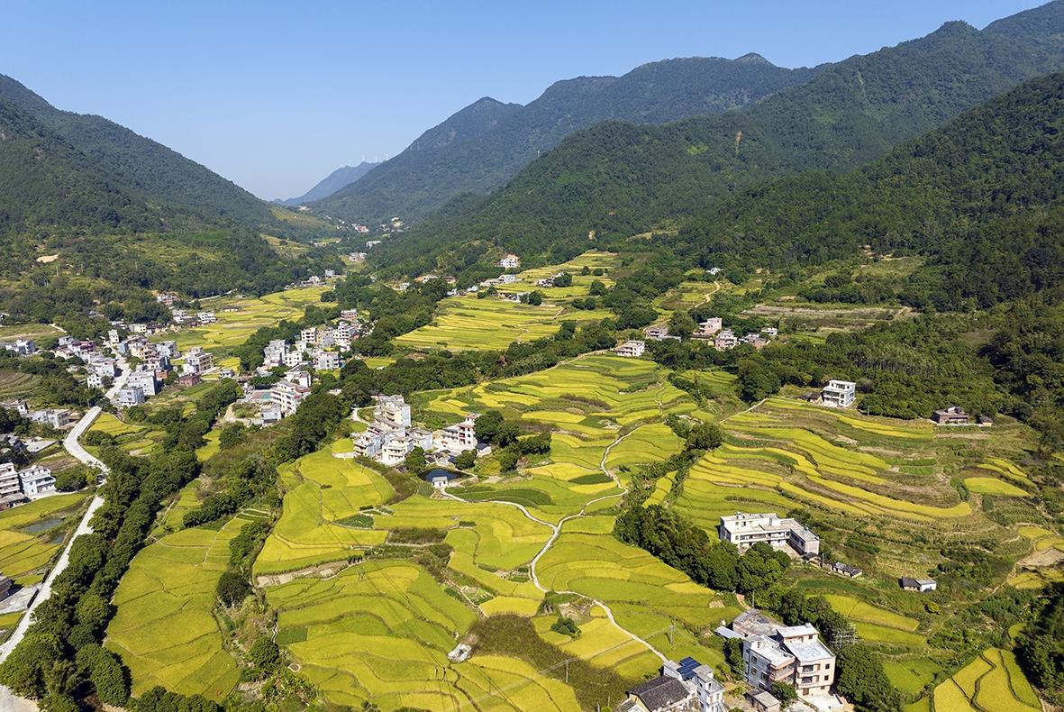 1027589516550266.jpg 4.jpg