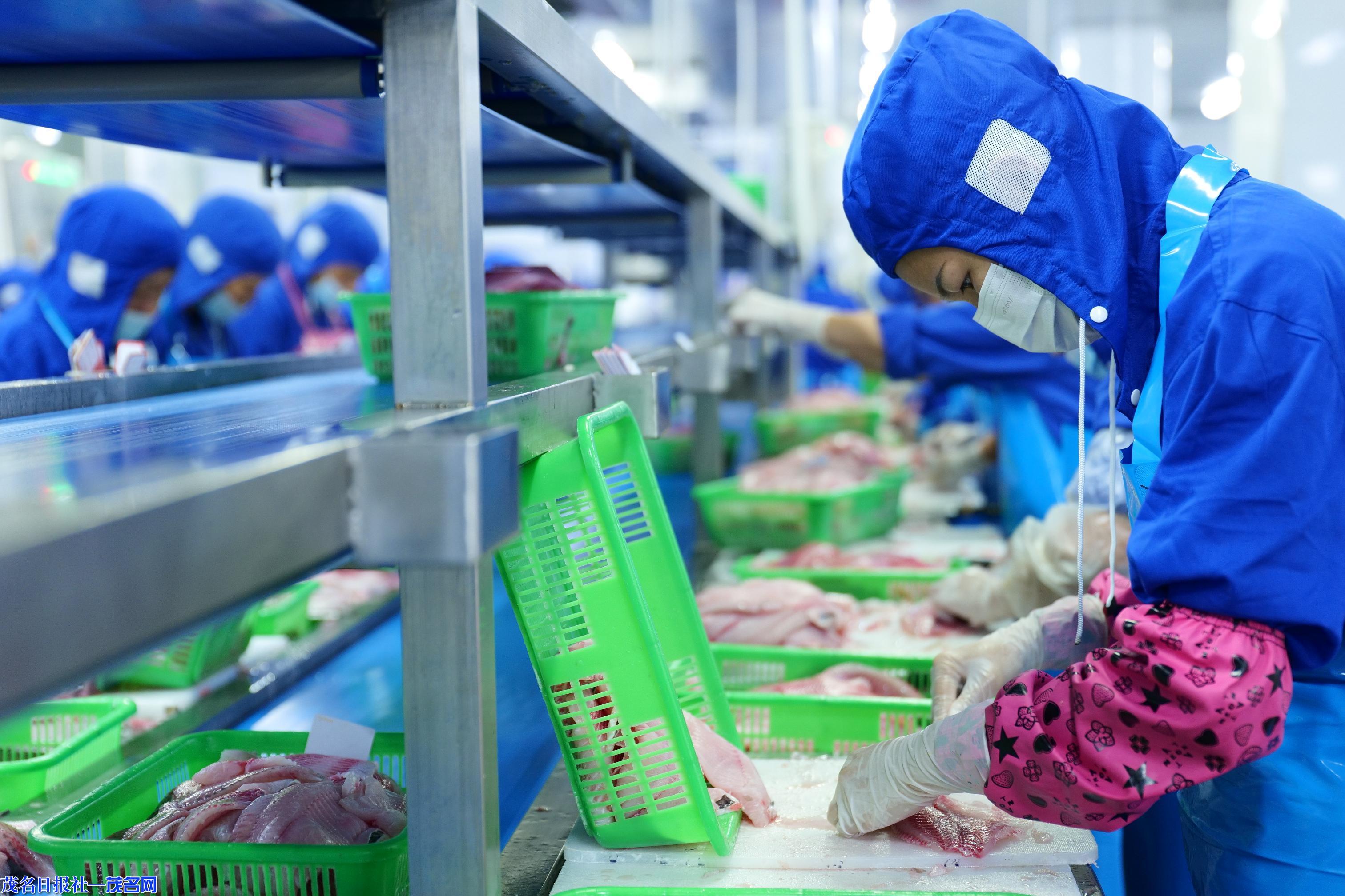 1339561410493283.jpg 20.jpg