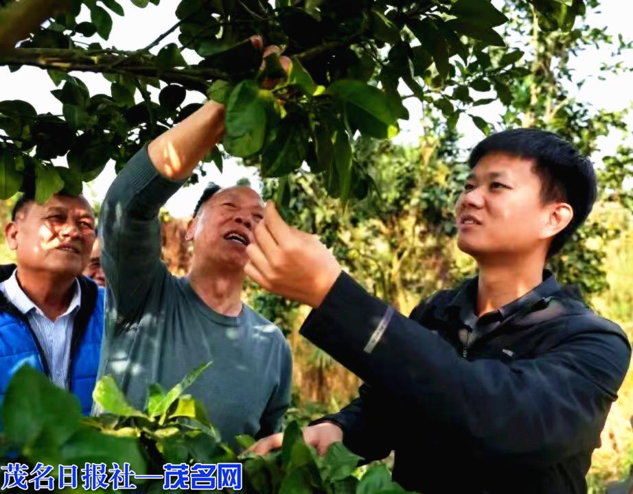 1607014607612780.jpg 6.jpg