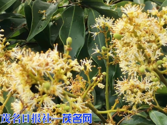 62440c439cf43.jpg