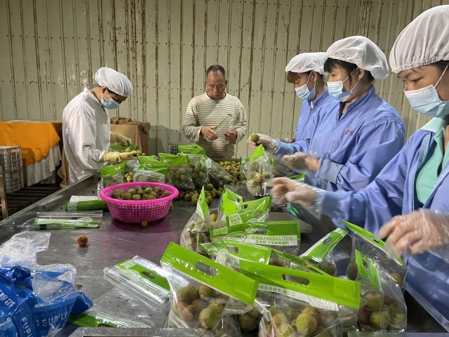 0943553017659380.jpg 626a608eb6c9f.jpg