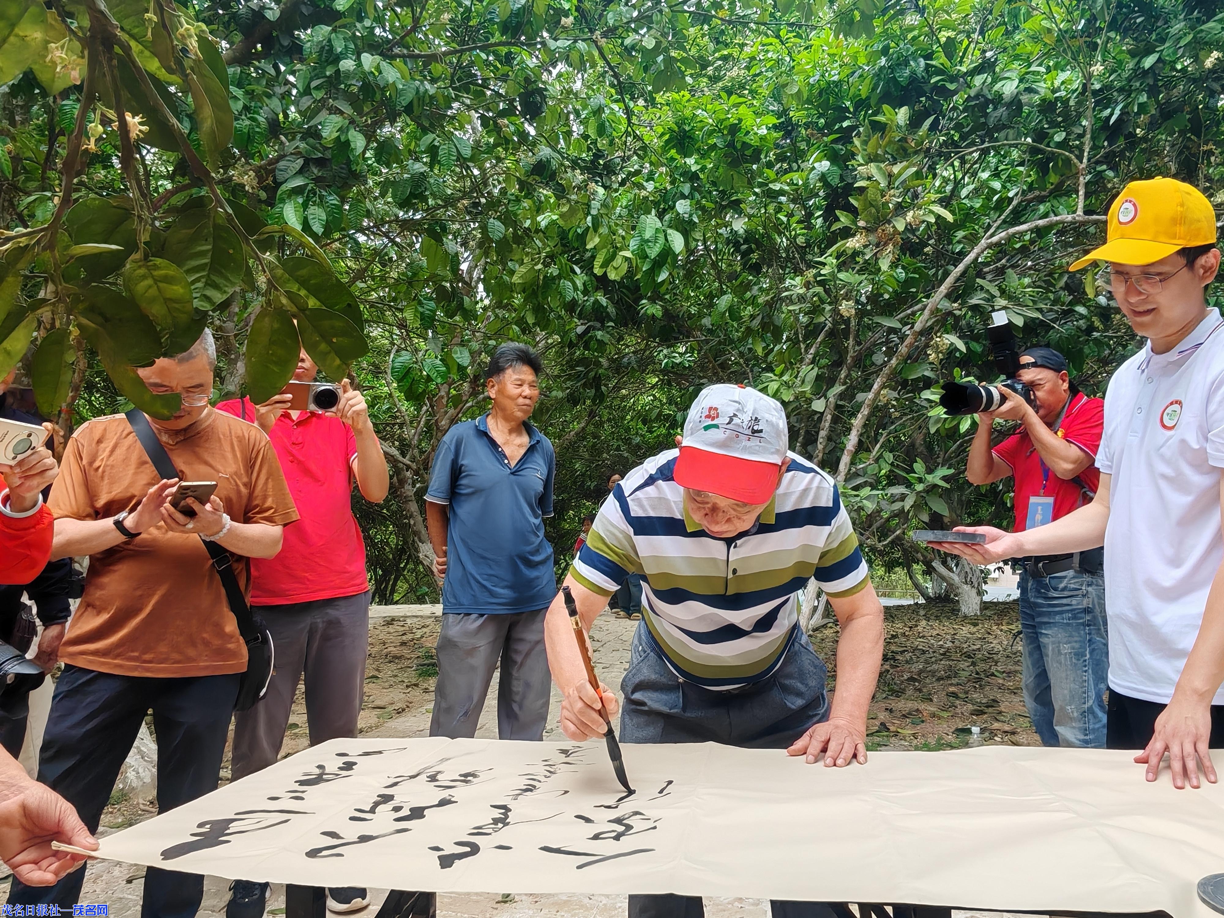 1548417386572016.jpg 2.jpg